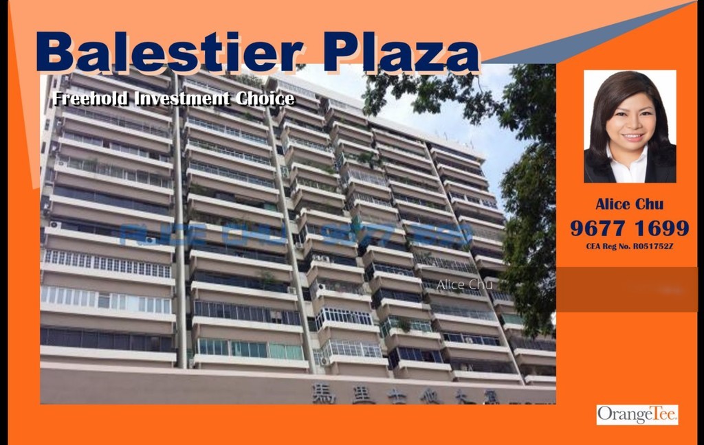 Balestier Plaza (D12), Apartment #154141572
